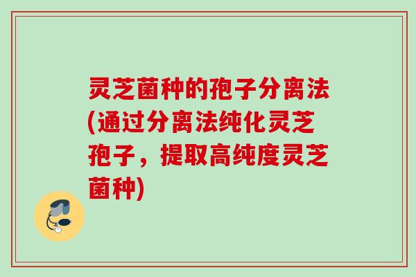 灵芝菌种的孢子分离法(通过分离法纯化灵芝孢子,提取高纯度灵芝菌种) 灵芝菌种的孢子分离法(通过分离法纯化灵芝孢子,提取高纯度灵芝菌种)