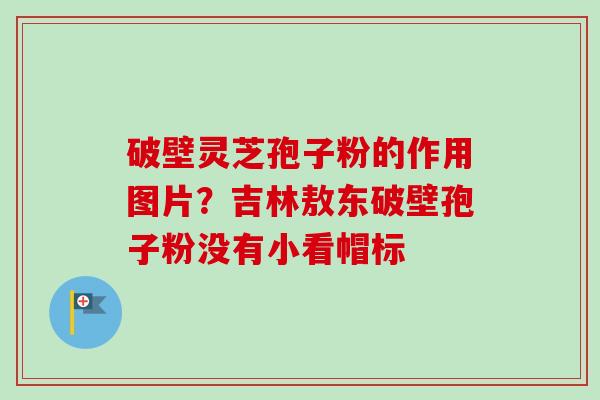 破壁灵芝孢子粉的作用图片？吉林敖东破壁孢子粉没有小看帽标