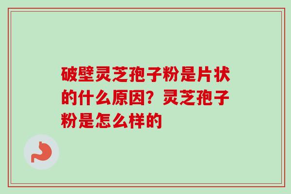 破壁灵芝孢子粉是片状的什么原因？灵芝孢子粉是怎么样的