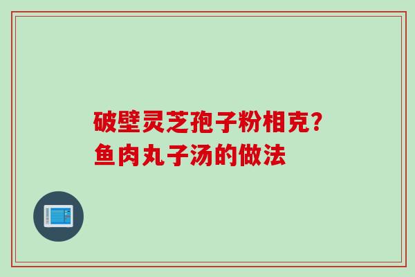 破壁灵芝孢子粉相克?鱼肉丸子汤的做法 破壁灵芝孢子粉相克?鱼肉丸子汤的做法