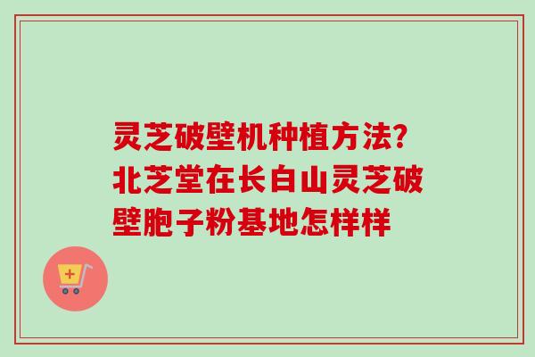 灵芝破壁机种植方法？北芝堂在长白山灵芝破壁胞子粉基地怎样样
