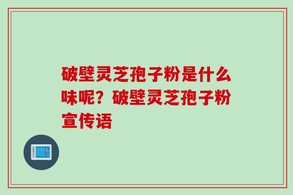 破壁灵芝孢子粉是什么味呢？破壁灵芝孢子粉宣传语