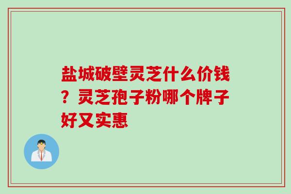 盐城破壁灵芝什么价钱？灵芝孢子粉哪个牌子好又实惠