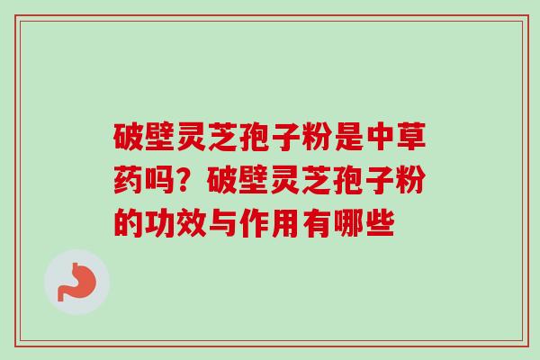 破壁灵芝孢子粉是中草药吗？破壁灵芝孢子粉的功效与作用有哪些