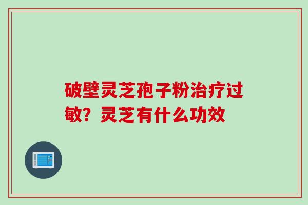 破壁灵芝孢子粉治疗过敏？灵芝有什么功效