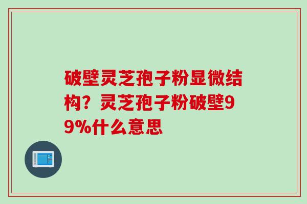 破壁灵芝孢子粉显微结构？灵芝孢子粉破壁99%什么意思