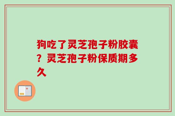 狗吃了灵芝孢子粉胶囊?灵芝孢子粉保质期多久 狗吃了灵芝孢子粉胶囊?灵芝孢子粉保质期多久