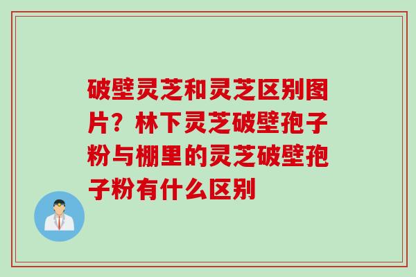 破壁灵芝和灵芝区别图片？林下灵芝破壁孢子粉与棚里的灵芝破壁孢子粉有什么区别