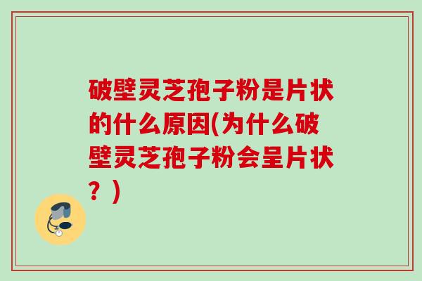 破壁灵芝孢子粉是片状的什么原因(为什么破壁灵芝孢子粉会呈片状？)