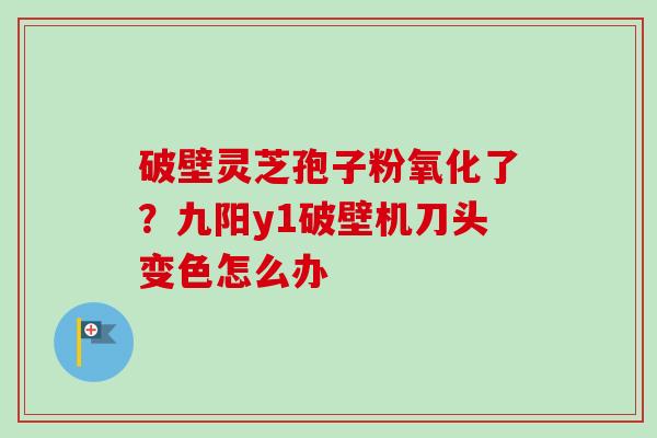 破壁灵芝孢子粉氧化了？九阳y1破壁机刀头变色怎么办