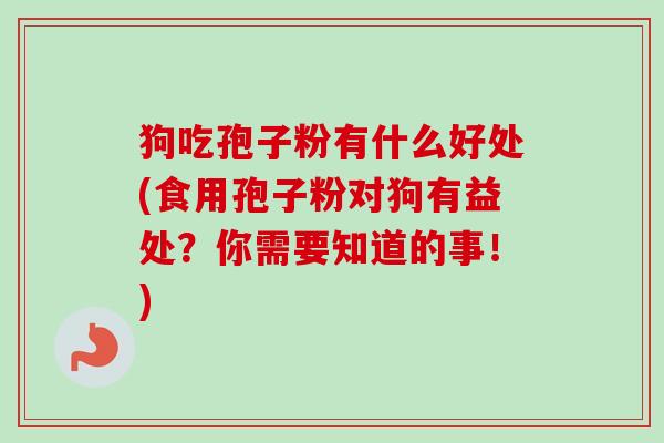 狗吃孢子粉有什么好处(食用孢子粉对狗有益处？你需要知道的事！)