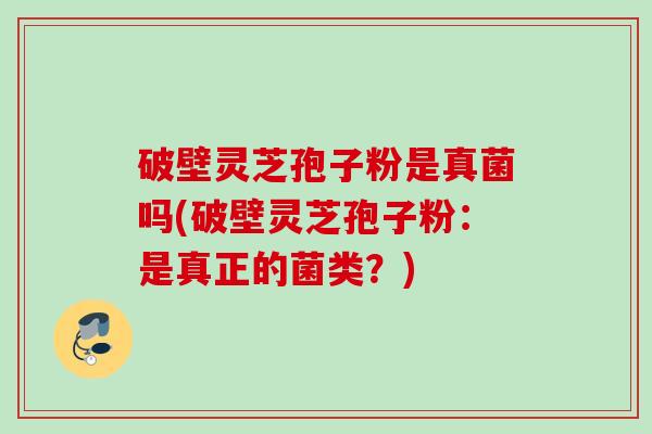 破壁灵芝孢子粉是真菌吗(破壁灵芝孢子粉:是真正的菌类?) 破壁灵芝孢子粉是真菌吗(破壁灵芝孢子粉:是真正的菌类?)