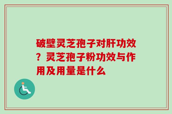 破壁灵芝孢子对肝功效？灵芝孢子粉功效与作用及用量是什么
