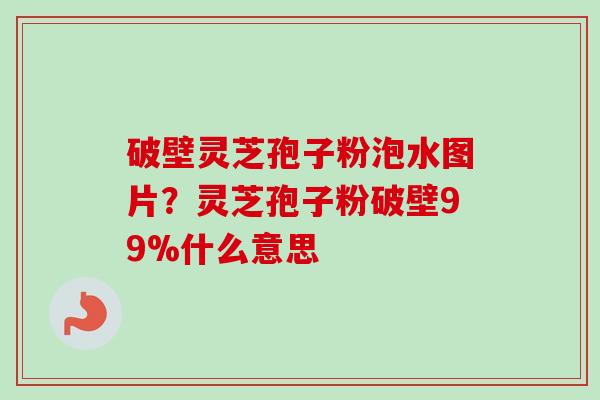 破壁灵芝孢子粉泡水图片？灵芝孢子粉破壁99%什么意思
