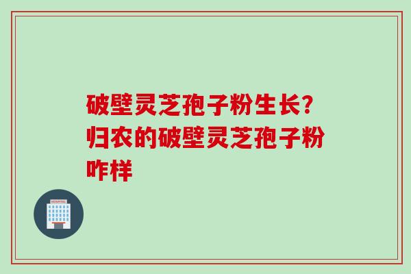 破壁灵芝孢子粉生长?归农的破壁灵芝孢子粉咋样 破壁灵芝孢子粉生长?归农的破壁灵芝孢子粉咋样