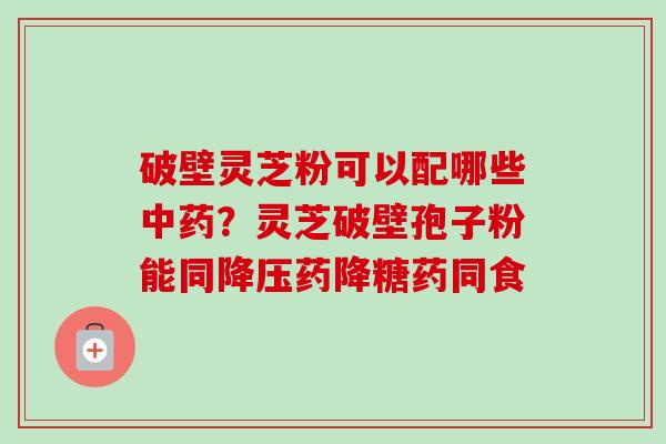 破壁灵芝粉可以配哪些中药？灵芝破壁孢子粉能同降压药降糖药同食