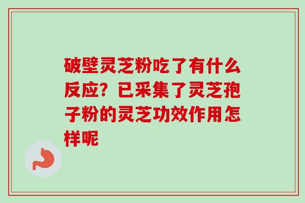 破壁灵芝粉吃了有什么反应？已采集了灵芝孢子粉的灵芝功效作用怎样呢