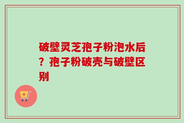 破壁灵芝孢子粉泡水后？孢子粉破壳与破壁区别