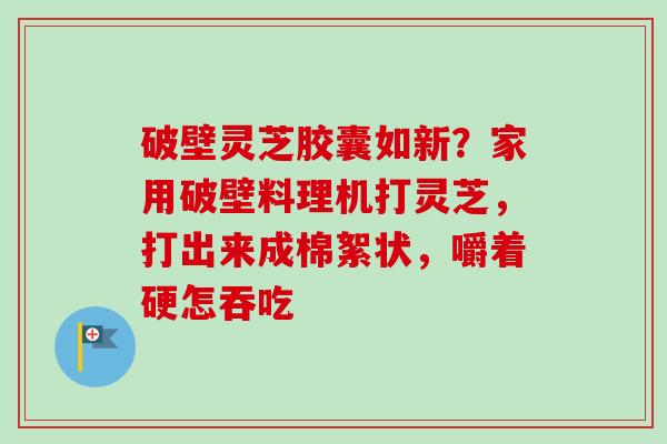 破壁灵芝胶囊如新？家用破壁料理机打灵芝，打出来成棉絮状，嚼着硬怎吞吃