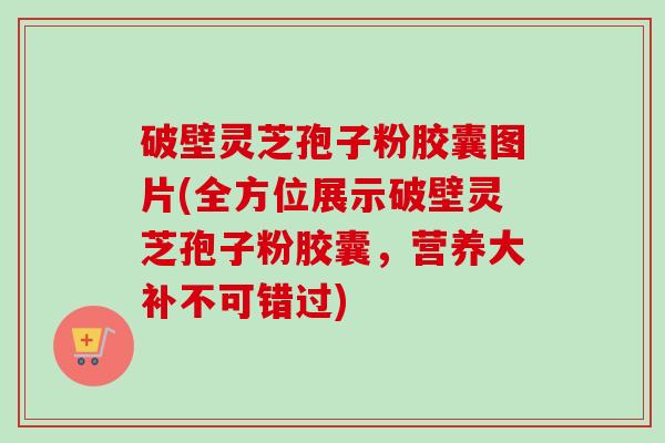 破壁灵芝孢子粉胶囊图片(全方位展示破壁灵芝孢子粉胶囊，营养大补不可错过)