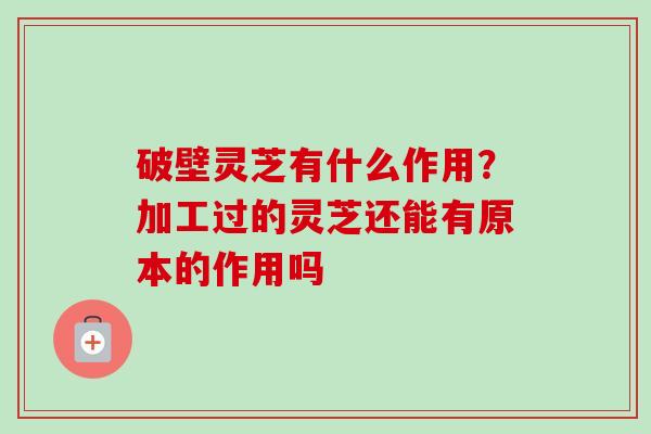 破壁灵芝有什么作用?加工过的灵芝还能有原本的作用吗 破壁灵芝有什么作用?加工过的灵芝还能有原本的作用吗