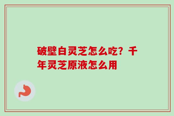 破壁白灵芝怎么吃？千年灵芝原液怎么用