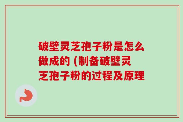 破壁灵芝孢子粉是怎么做成的 (制备破壁灵芝孢子粉的过程及原理