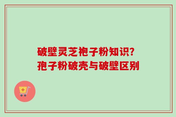 破壁灵芝袍子粉知识？孢子粉破壳与破壁区别