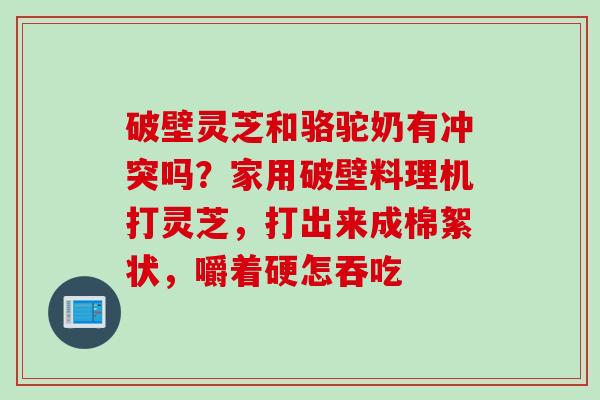 破壁灵芝和骆驼奶有冲突吗？家用破壁料理机打灵芝，打出来成棉絮状，嚼着硬怎吞吃