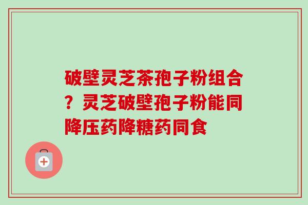 破壁灵芝茶孢子粉组合?灵芝破壁孢子粉能同药降糖药同食 破壁灵芝茶孢子粉组合?灵芝破壁孢子粉能同药降糖药同食