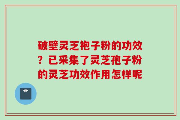 破壁灵芝袍子粉的功效?已采集了灵芝孢子粉的灵芝功效作用怎样呢 破壁灵芝袍子粉的功效?已采集了灵芝孢子粉的灵芝功效作用怎样呢