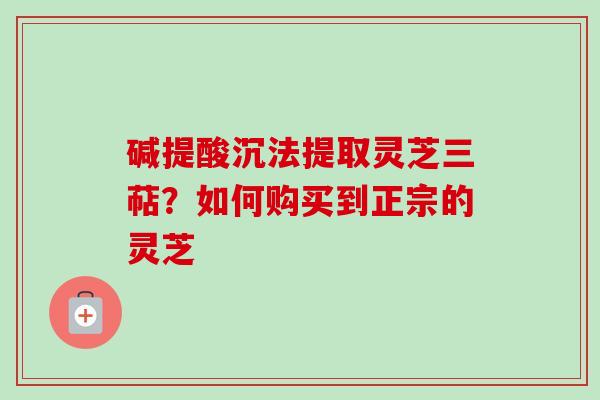 碱提酸沉法提取灵芝三萜？如何购买到正宗的灵芝