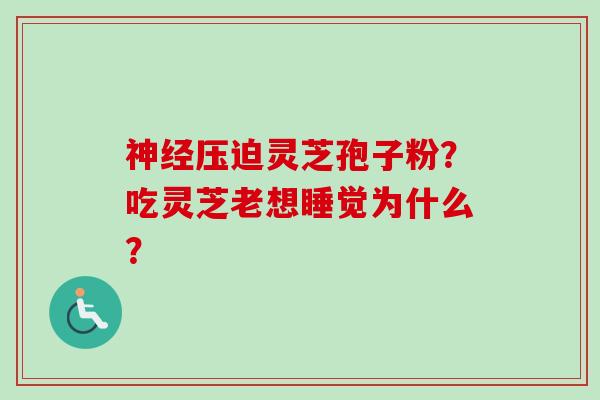 神经压迫灵芝孢子粉？吃灵芝老想睡觉为什么？