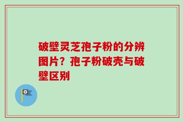 破壁灵芝孢子粉的分辨图片？孢子粉破壳与破壁区别