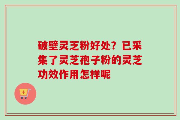 破壁灵芝粉好处?已采集了灵芝孢子粉的灵芝功效作用怎样呢 破壁灵芝粉好处?已采集了灵芝孢子粉的灵芝功效作用怎样呢