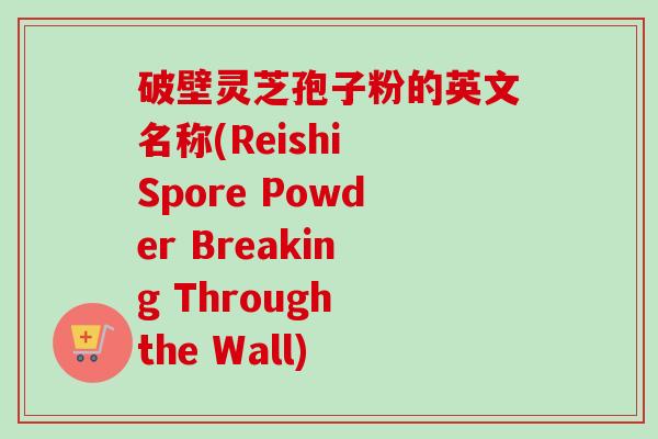 破壁灵芝孢子粉的英文名称(Reishi Spore Powder Breaking Through the Wall)