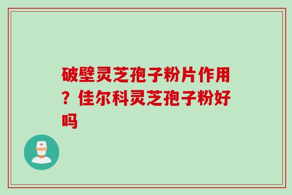 破壁灵芝孢子粉片作用？佳尔科灵芝孢子粉好吗
