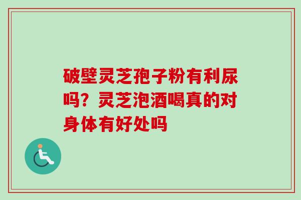 破壁灵芝孢子粉有利尿吗？灵芝泡酒喝真的对身体有好处吗