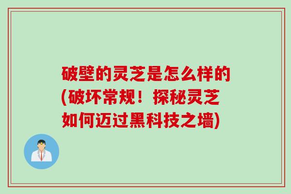 破壁的灵芝是怎么样的(破坏常规！探秘灵芝如何迈过黑科技之墙)