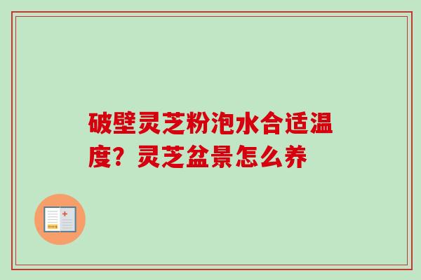 破壁灵芝粉泡水合适温度？灵芝盆景怎么养