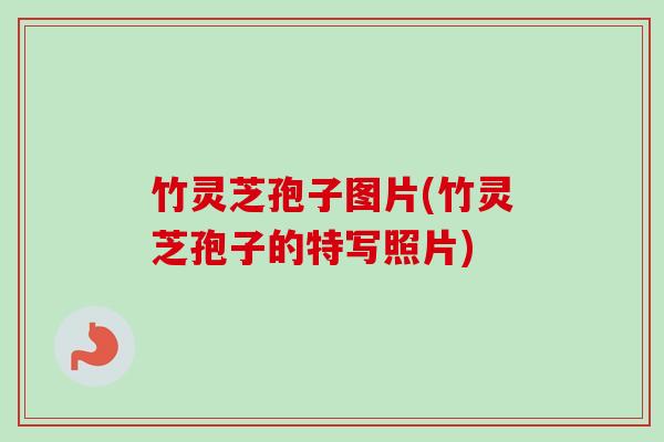 竹灵芝孢子图片(竹灵芝孢子的特写照片)