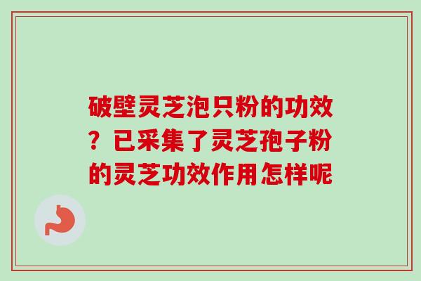 破壁灵芝泡只粉的功效？已采集了灵芝孢子粉的灵芝功效作用怎样呢