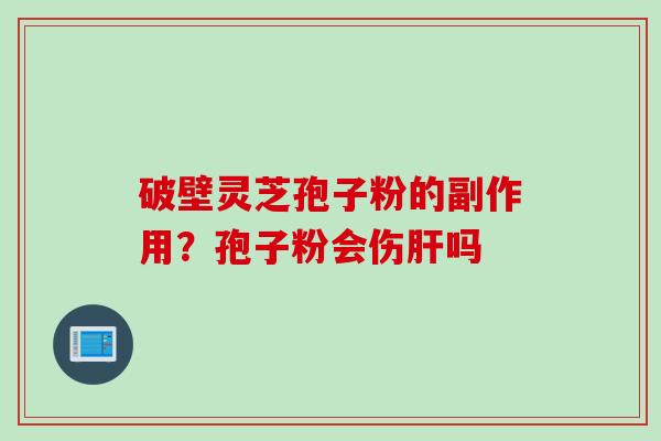 破壁灵芝孢子粉的副作用？孢子粉会伤肝吗