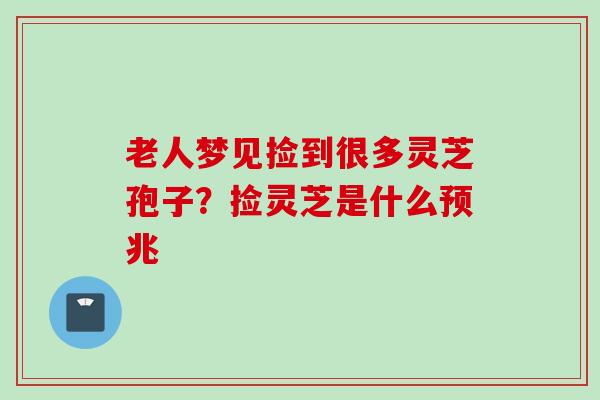 老人梦见捡到很多灵芝孢子？捡灵芝是什么预兆
