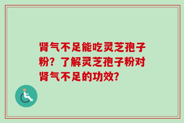 肾气不足能吃灵芝孢子粉？了解灵芝孢子粉对肾气不足的功效？