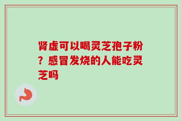 肾虚可以喝灵芝孢子粉？感冒发烧的人能吃灵芝吗