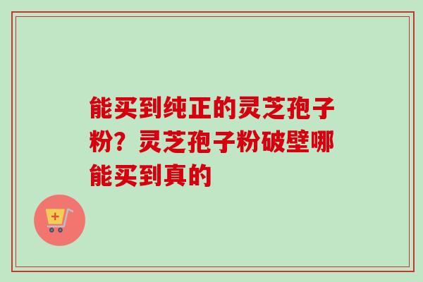 能买到纯正的灵芝孢子粉？灵芝孢子粉破壁哪能买到真的