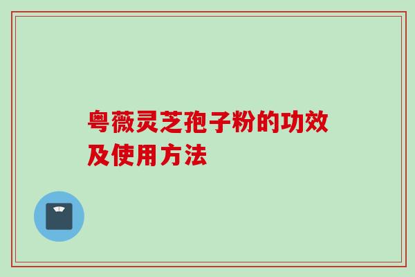 粤薇灵芝孢子粉的功效及使用方法