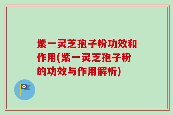 紫一灵芝孢子粉功效和作用(紫一灵芝孢子粉的功效与作用解析)