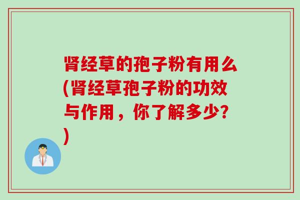肾经草的孢子粉有用么(肾经草孢子粉的功效与作用，你了解多少？)